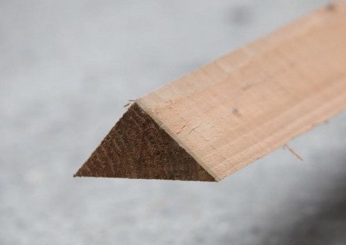 File 55 7 500X500 500X500 (1)